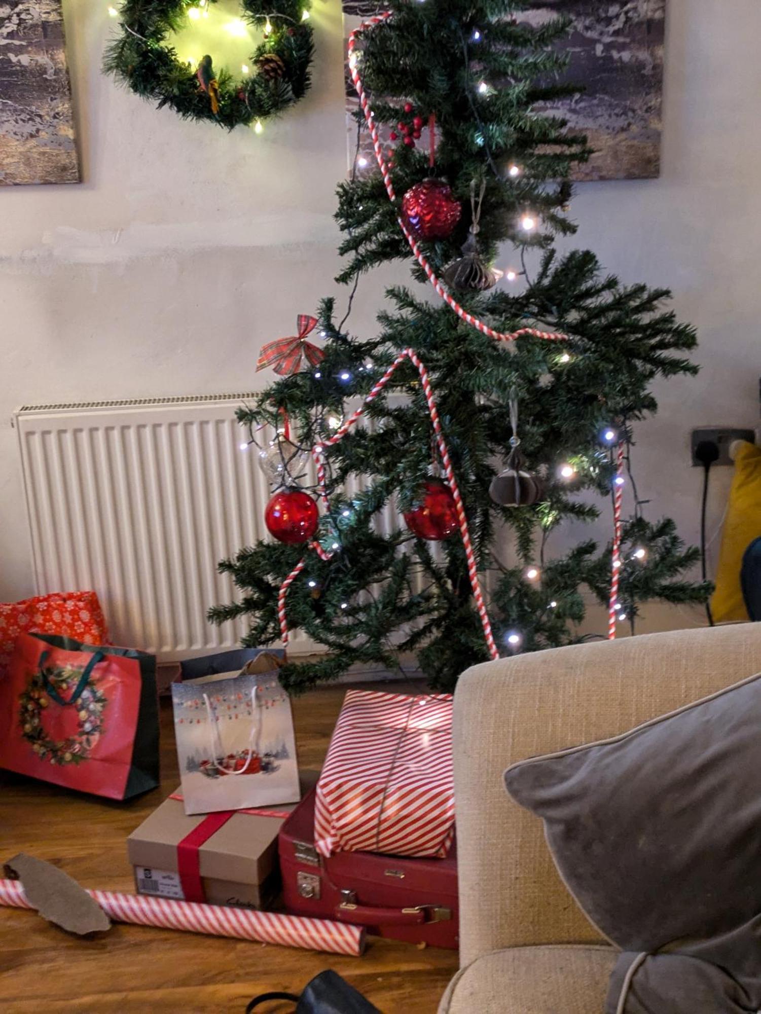 The Cottage Bristol Extérieur photo